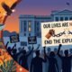 Why is PETA hated illustration showing animal rights protest crowd
